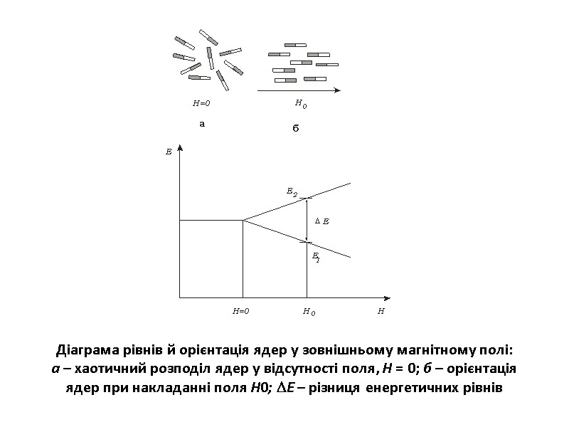 Діаграма рівнів й орієнтація ядер у зовнішньому магнітному полі: а – хаотичний розподіл ядер